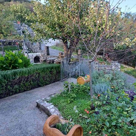 Country House "Lipa" Komarno Virpazar Eksteriør billede