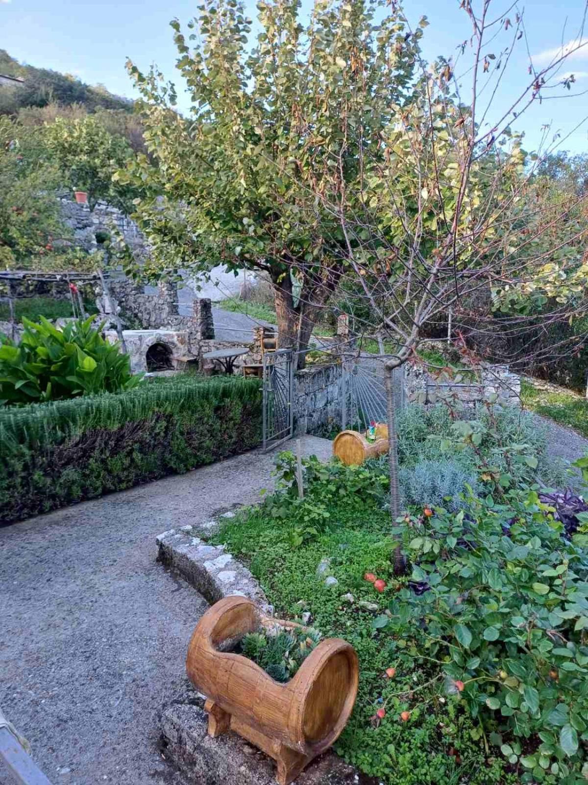 Country House "Lipa" Komarno Virpazar Eksteriør billede