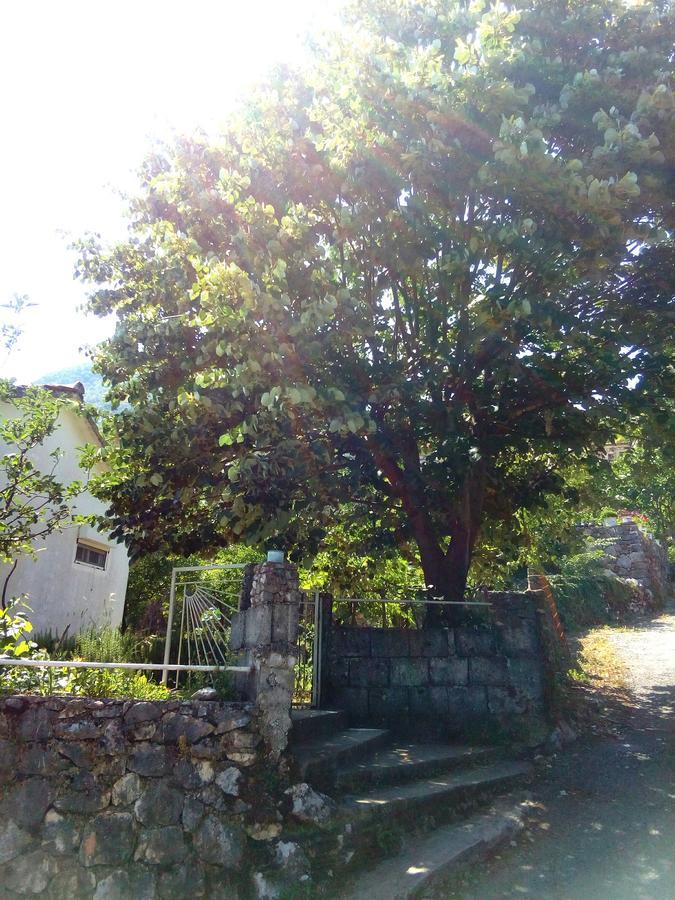 Country House "Lipa" Komarno Virpazar Eksteriør billede