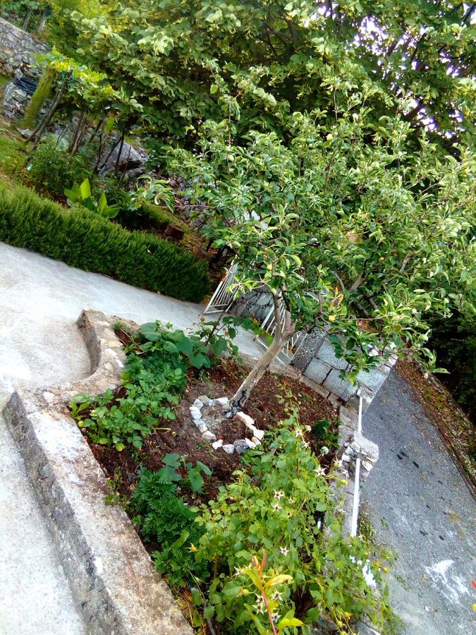 Country House "Lipa" Komarno Virpazar Eksteriør billede
